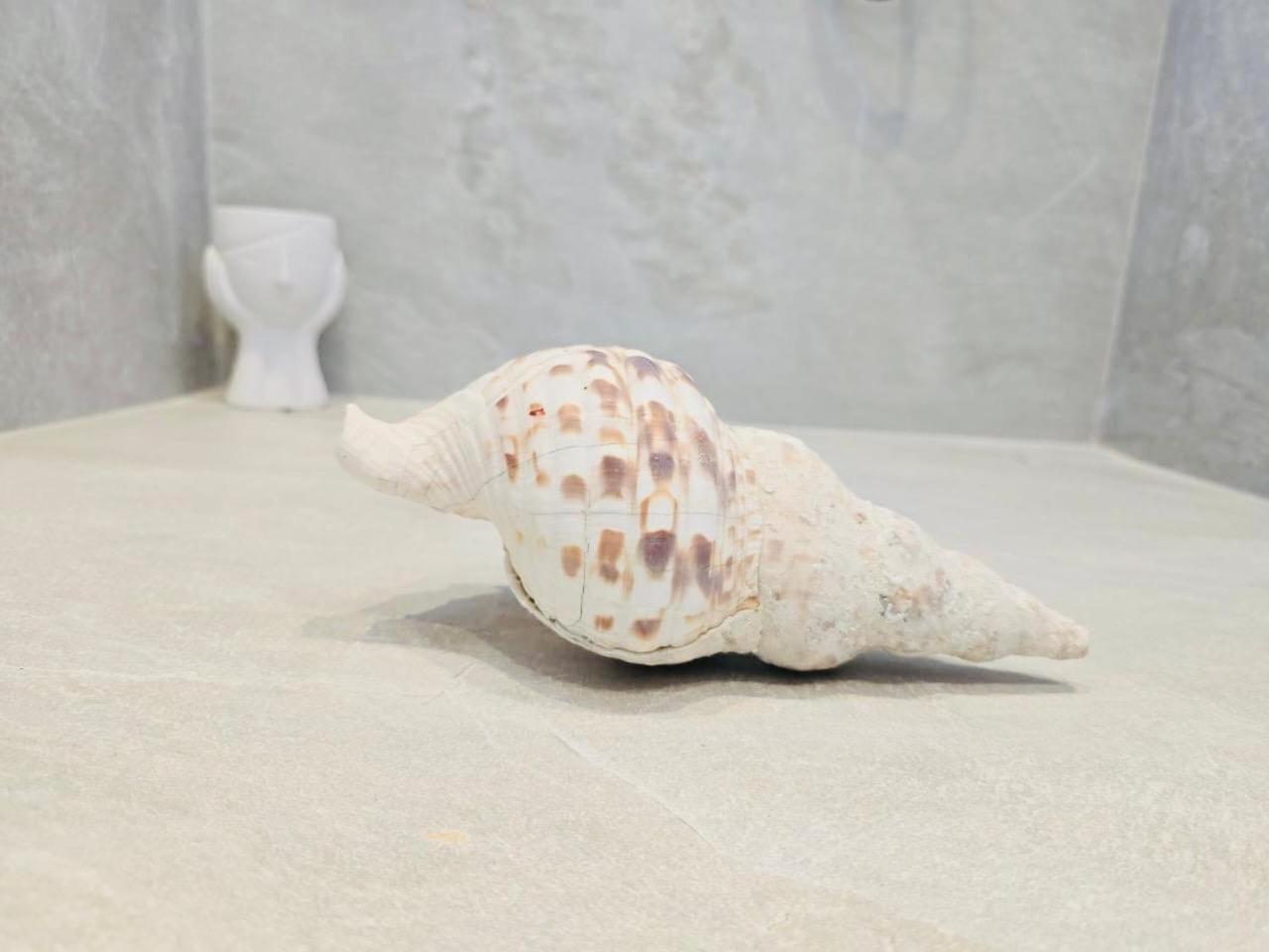 C Suites Mykonos Mykonos Town Bagian luar foto